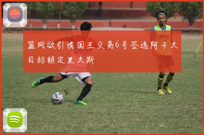篮网欲引诱国王交易6号签选阿卡夫目标锁定里夫斯